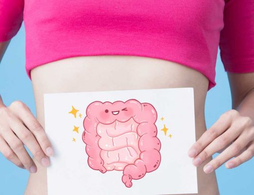 How does your gut affect your weight?